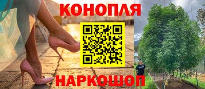 мяу мяу мука Заводоуковск