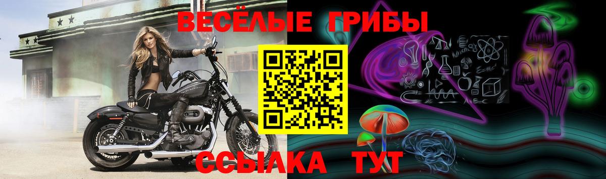 Ликино-Дулёво  Псилоцибиновые грибы Psilocybine cubensis  Вход с VPN 