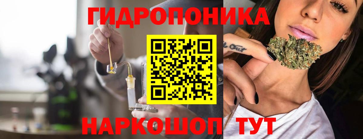 Бошки Шишки планчик Ликино-Дулёво